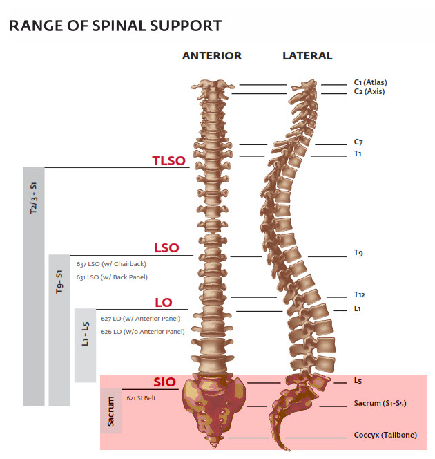 Exos FORM II 621 Back Brace