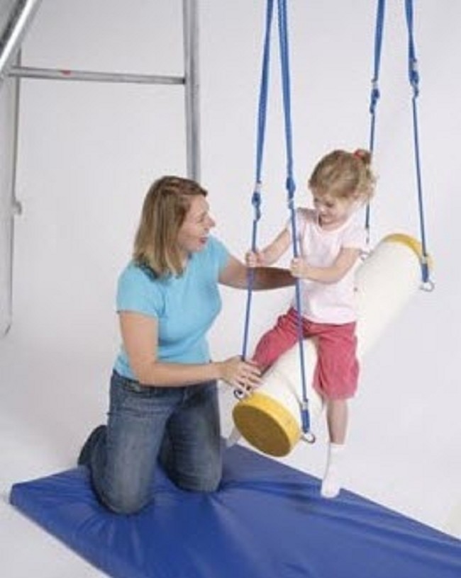 Vestibular Sensory Input Bolster Swing FREE Shipping