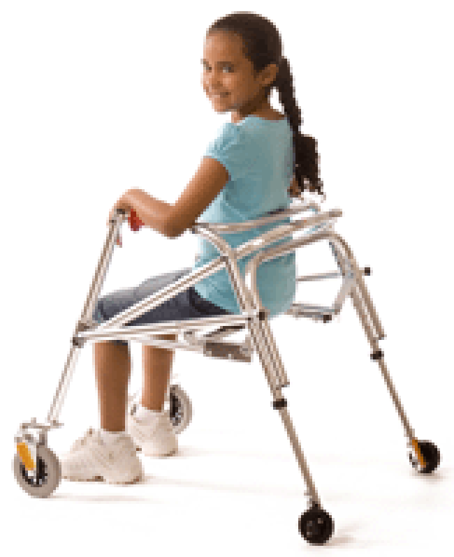 Kaye Posture Control Walker FREE Shipping