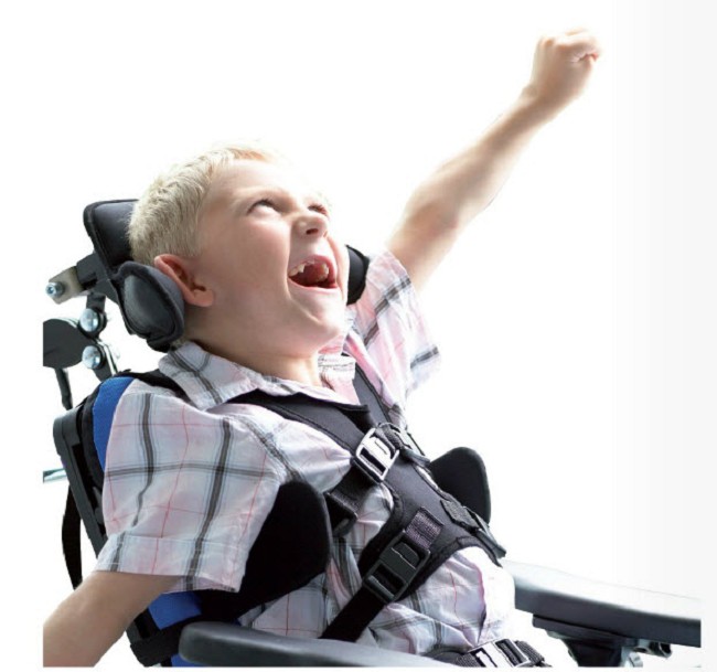 chariot child harness