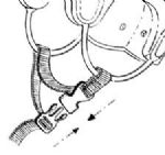 Chin Strap with Quick Release Buckle for Danmar Helmets (X-Small)