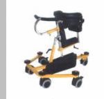Pony Gait Trainer