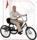 Options for Regal Hefty Hauler (Rear Fender Kit  (24in Trikes))