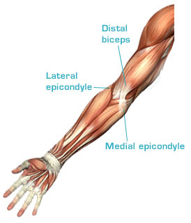 the two nodes around the joints are made unwalkable too. the two nodes around the joints are made unwalkable too.