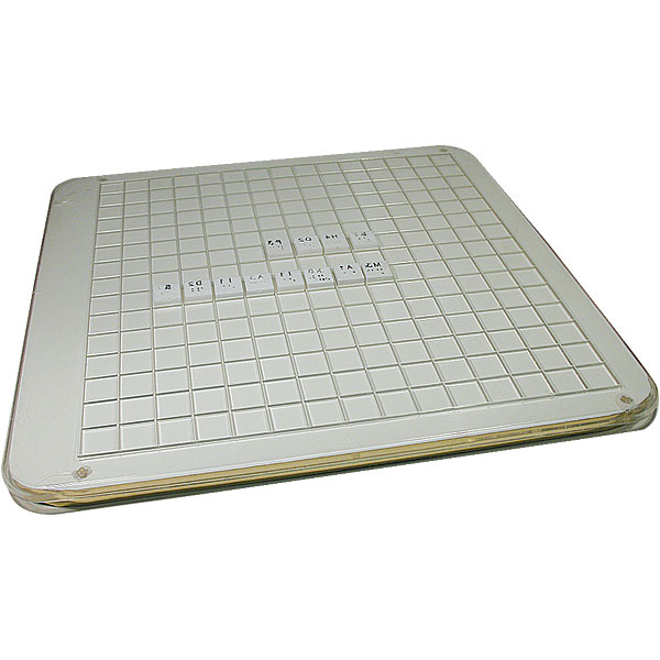 Braille and Tactile Letter Communication Teacher for the Deaf and Blind