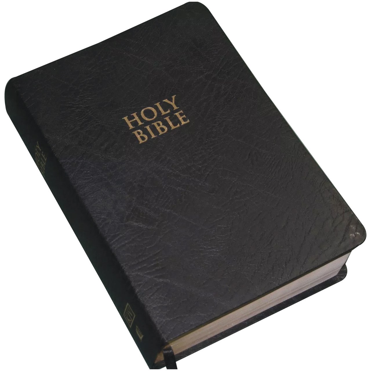 Large print bible red letter edition with study