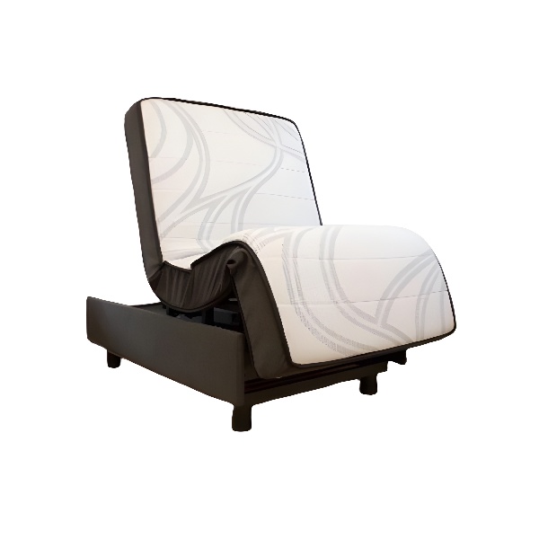 Adjustable Height Sleep to Stand Twin XL Bed Envyy by Platinum Health