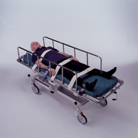 Posey General Purpose Restraint Belt - FREE Shipping