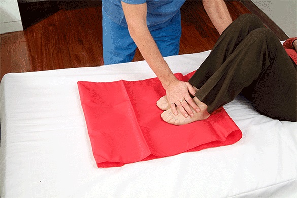 Hoyer Patient Transfer Slide Sheets - FREE Shipping