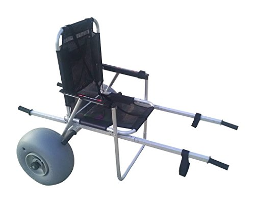 Freedom chairs sales on sale