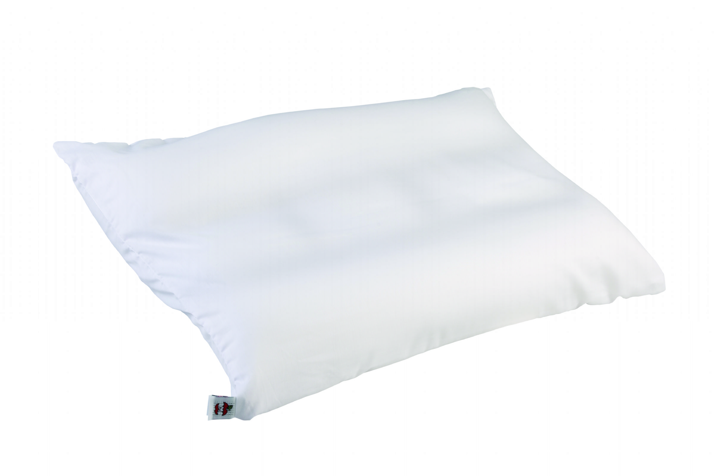 Cervitrac Neck Support Pillow for a Natural Cervical Curve by Core Products