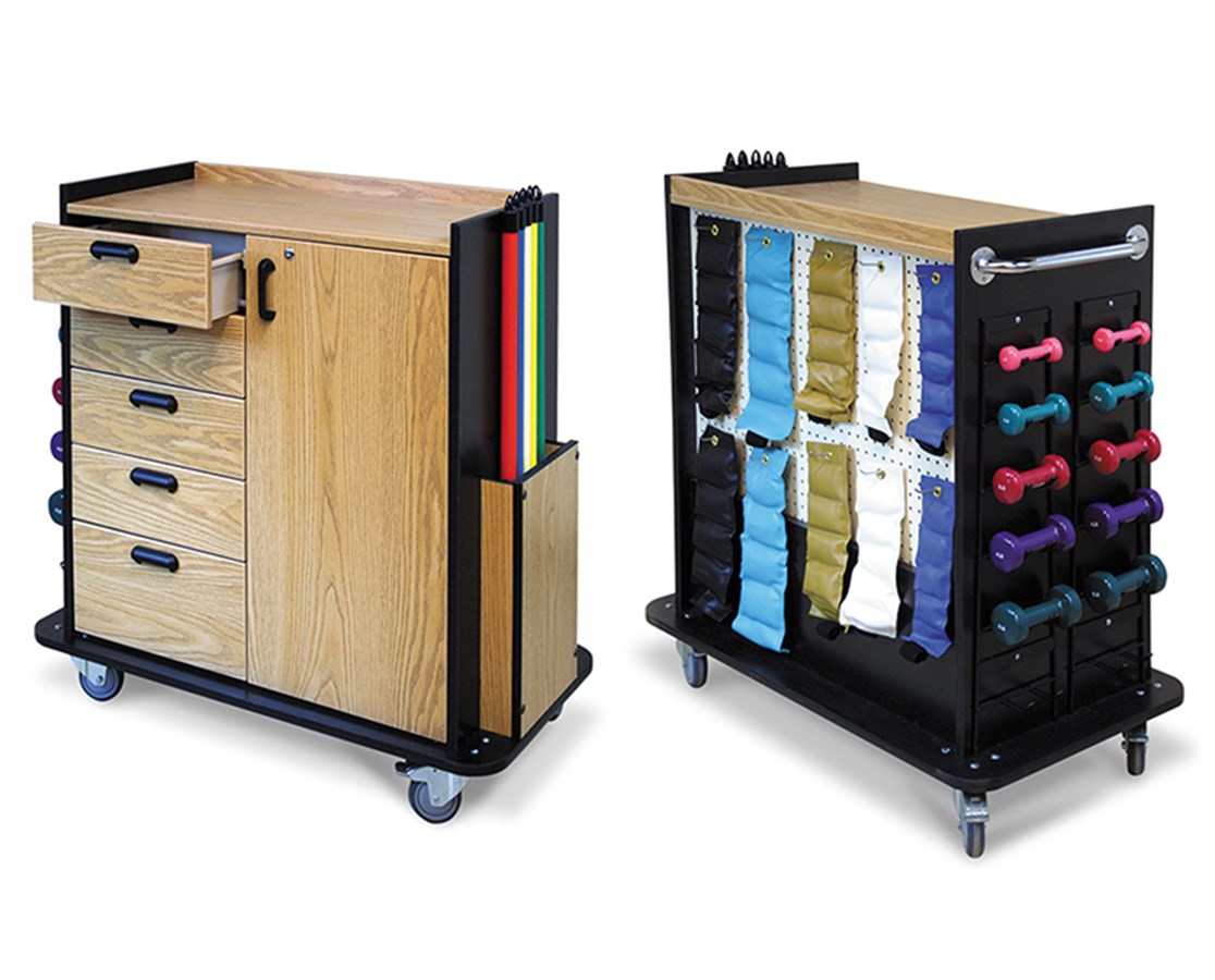 Hausmann Mobile Therapy Station FREE Shipping