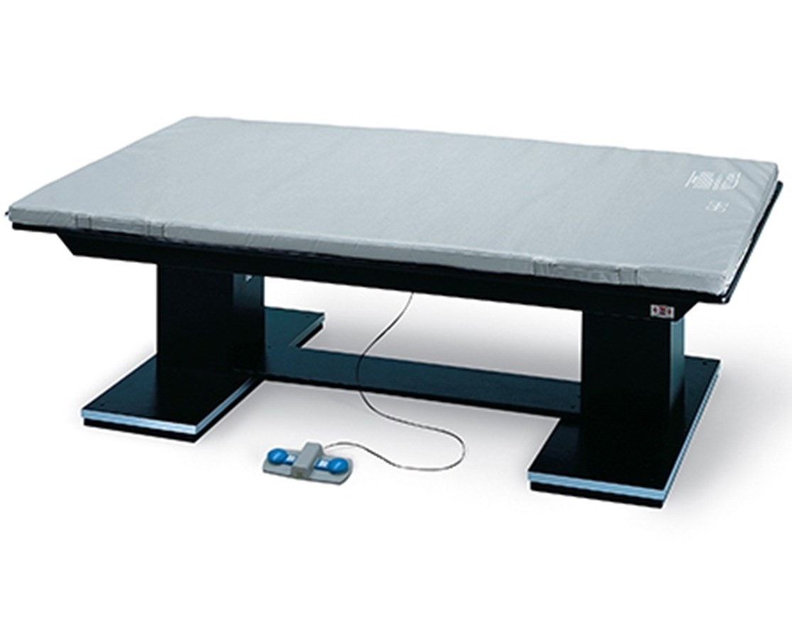 Hausmann Dual Lift Powermatic Mat Platforms for Removable Mat