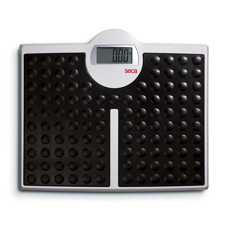 Seca 813 Bariatric Digital Floor Scale for Medical Patients