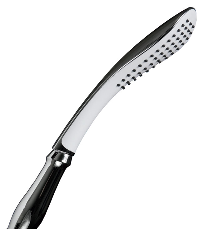 Wand Shower Head with Extendable Length Handle