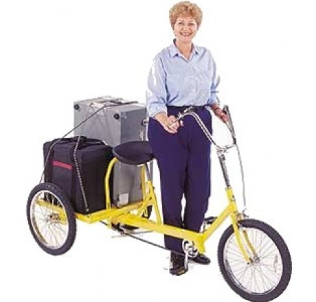 desoto classic tricycle used