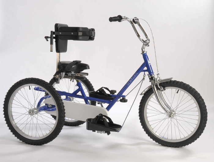 3 wheel bike special needs