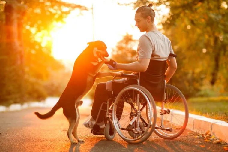How to Choose the Best Wheelchair