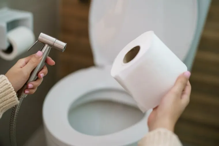 Refresh Your Bathroom Routine by Choosing the Right Bidet Toilet Seat