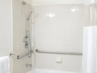 The Best Bathroom Safety Bars for Every Part of Your Bathroom
