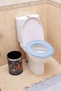 7 Best Cushioned Toilet Seats for Elderly and Senior Care