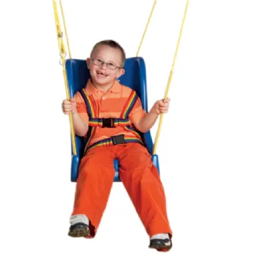 Skillbuilders High Back Full Support Swing Seat
