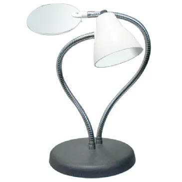 Big Eye 2-Arm Combination Table Lamp and 2x Magnifier