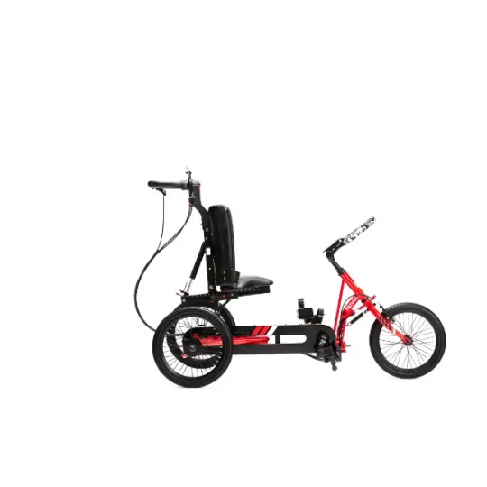Trivel T250 Pediatric Adapted Tricycle for Special Needs