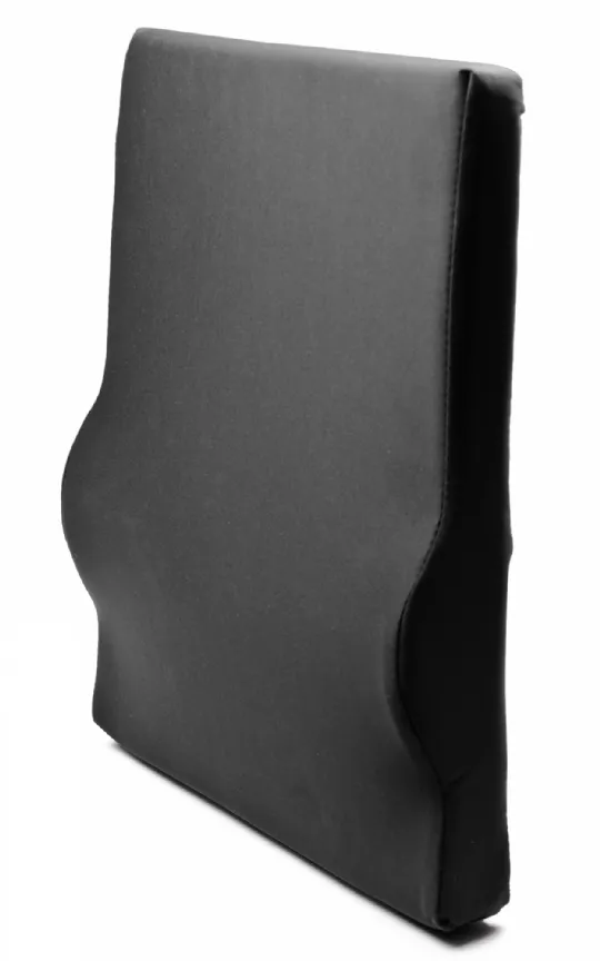 Graham Field Lumbar Cushions FOR SALE FREE Shipping