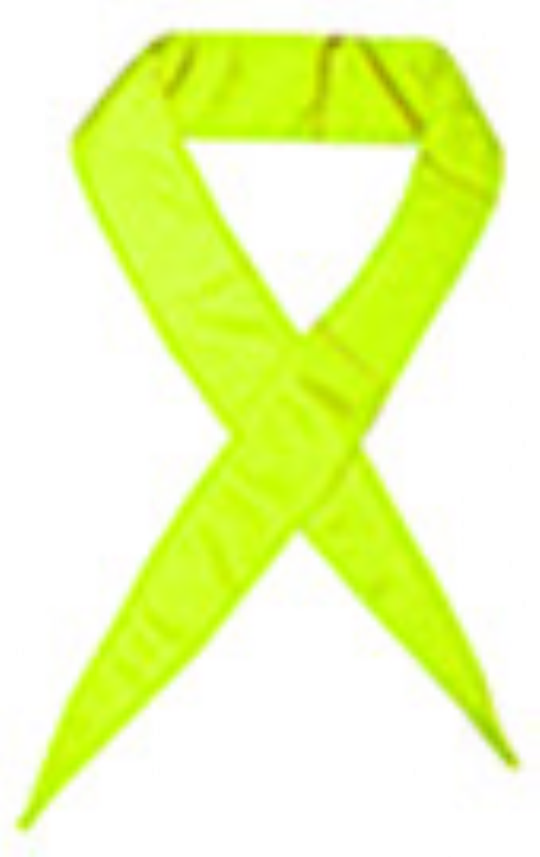 HyperKewl Evaporative Cooling Neck Band FREE Shipping