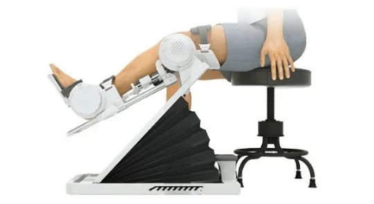 Knee Flexion & Extension (Seated)
