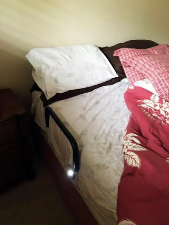 LumaRail Bed Assist Rail by Platinum Health