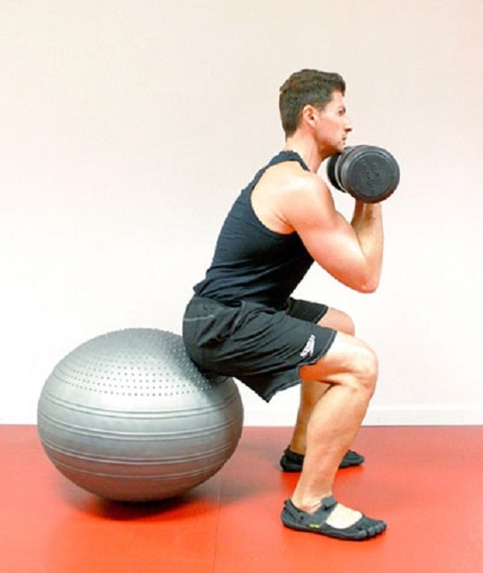 Togu Pendell Oval Exercise Ball FREE Shipping