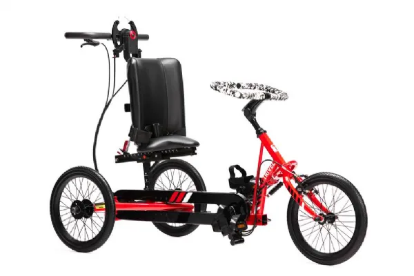 3 wheel bike special needs