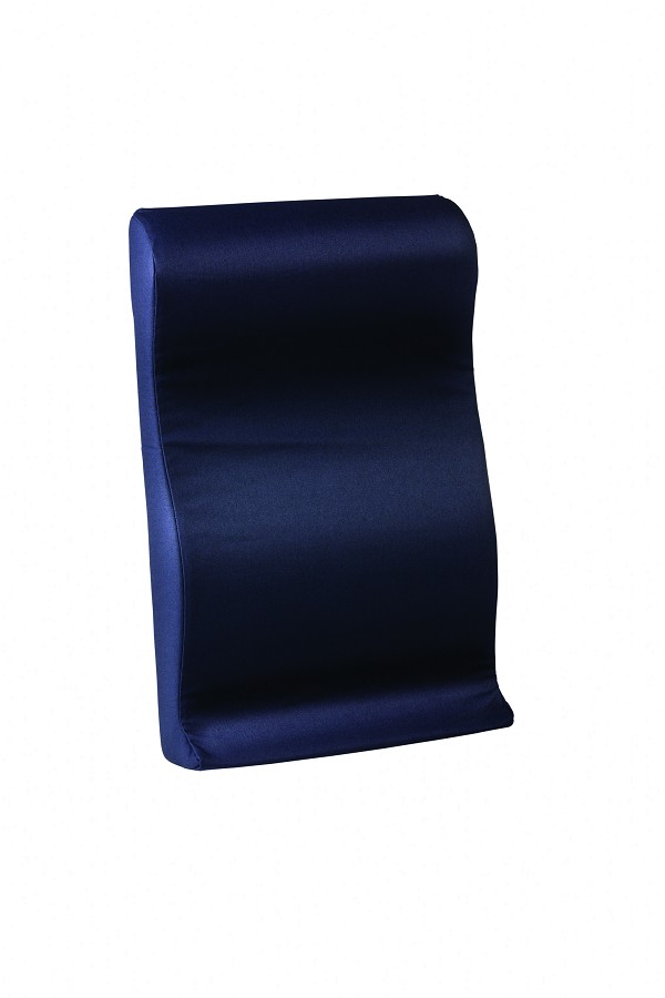 Hibak Rest Back Support Cushion By Core Products