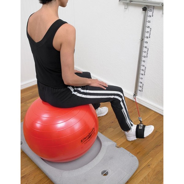 TheraBand Rehab and Wellness Station FREE Shipping