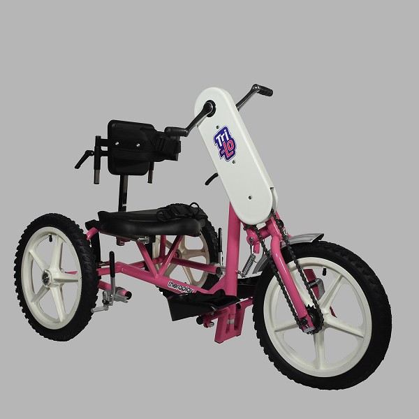 Triaid TriLo Hand Propelled Special Needs Tricycle