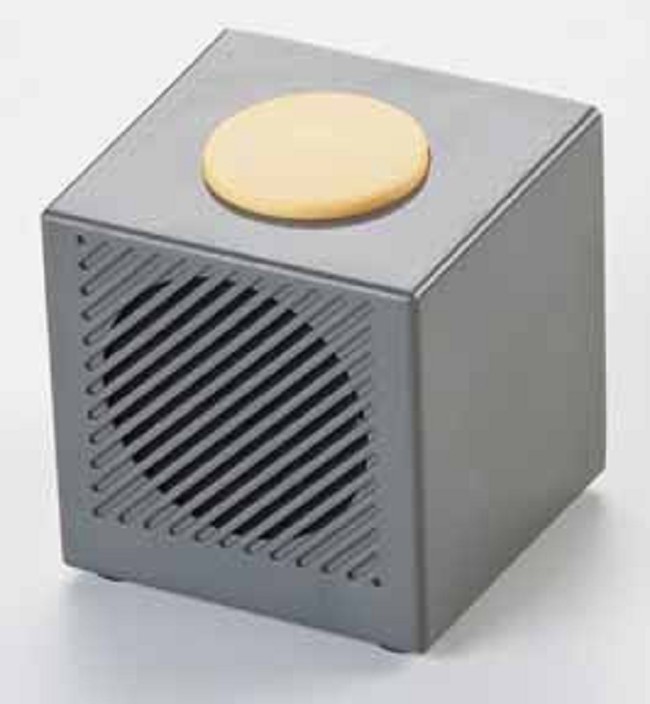 Talking Cube Clock for Low Vision and Hearing Impaired