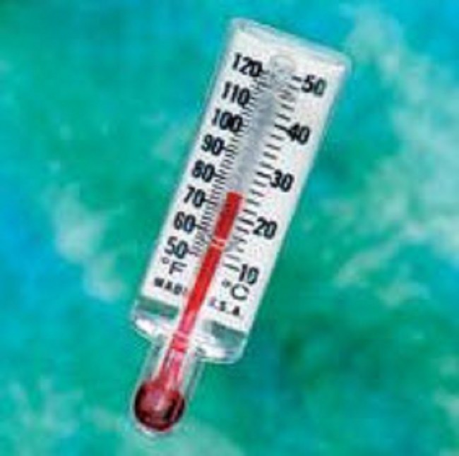 Clear Housing Disposable Thermometer, Case of 50