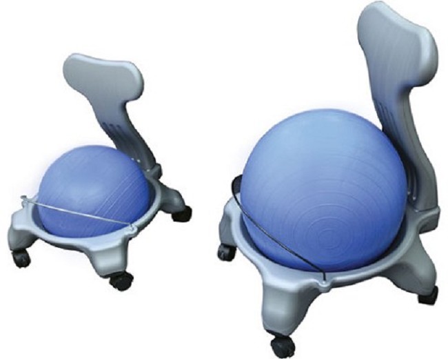 Rolling Ball Chair with Backrest FREE Shipping