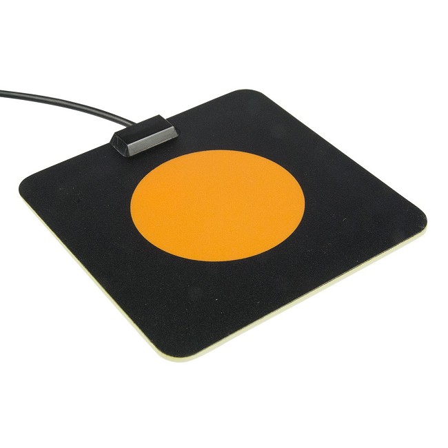 Plate Switch Activity Aid ON SALE FREE Shipping