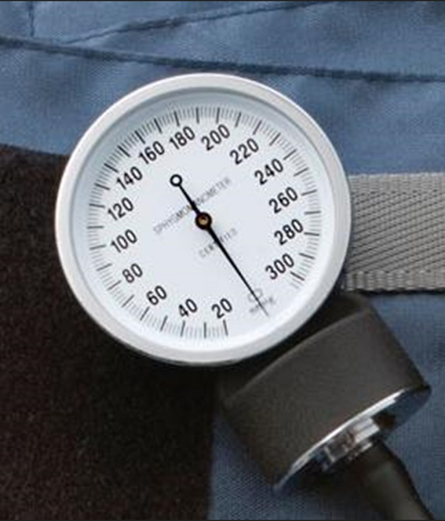 Blood Pressure Cuff Replacement Parts FREE Shipping