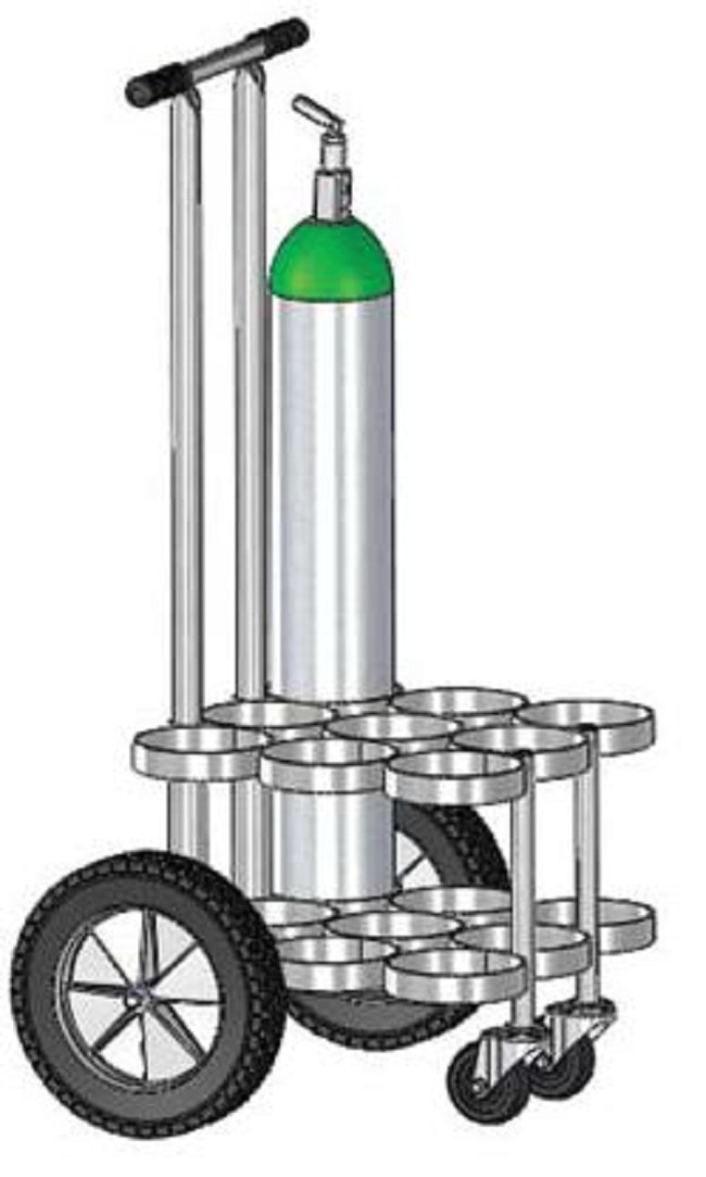 DE9 Oxygen Cylinder Cart FREE Shipping
