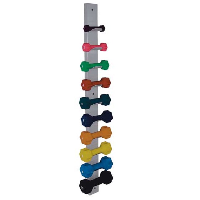 Vertical Dumbbell Wall Storage Rack FREE Shipping