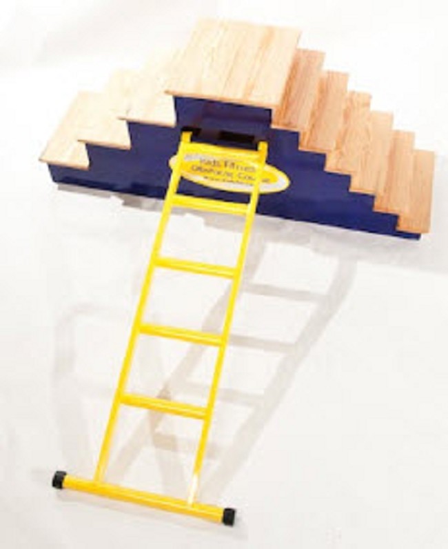 Ladder Attachment for Balance Exercises FREE Shipping