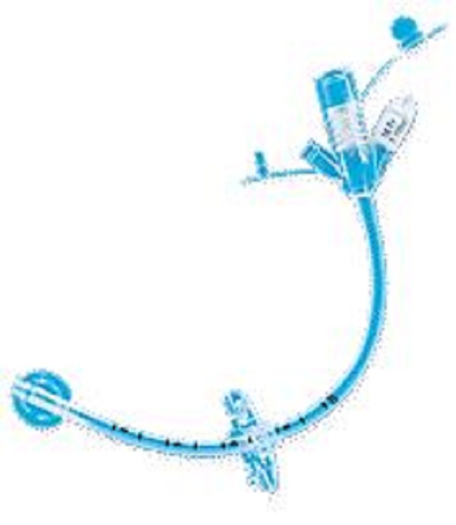 Gastrostomy Feeding Tube with Universal Port Connector
