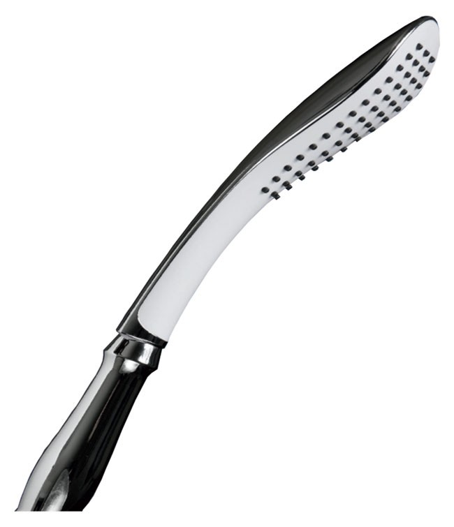 Wand Shower Head with Extendable Length Handle