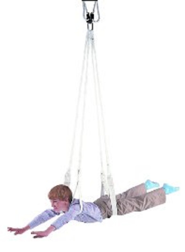 Standard Dual Indoor Occupational Therapy Sensory Swing