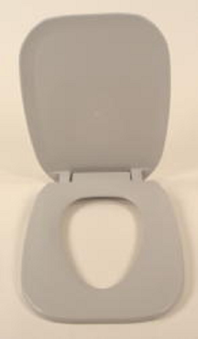 Gray Elongated Toilet Seat and Cover