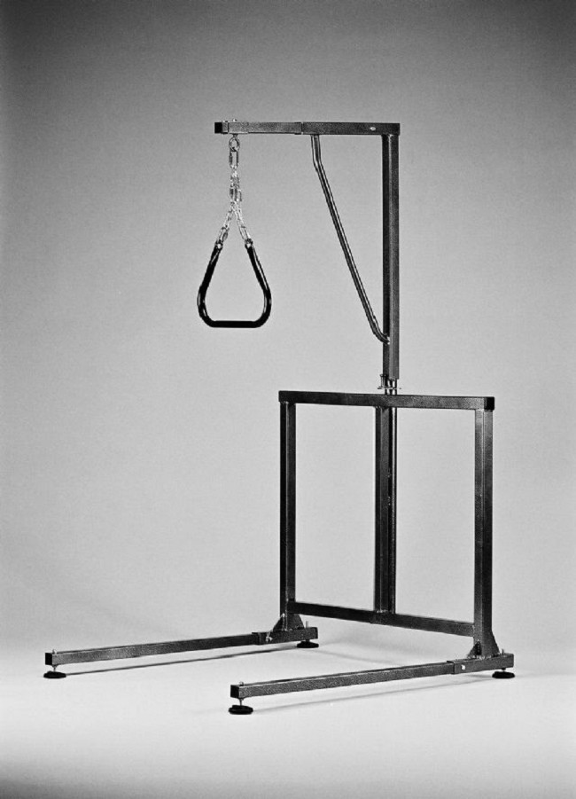 Heavy Duty Bariatric Bed Trapeze FREE Shipping